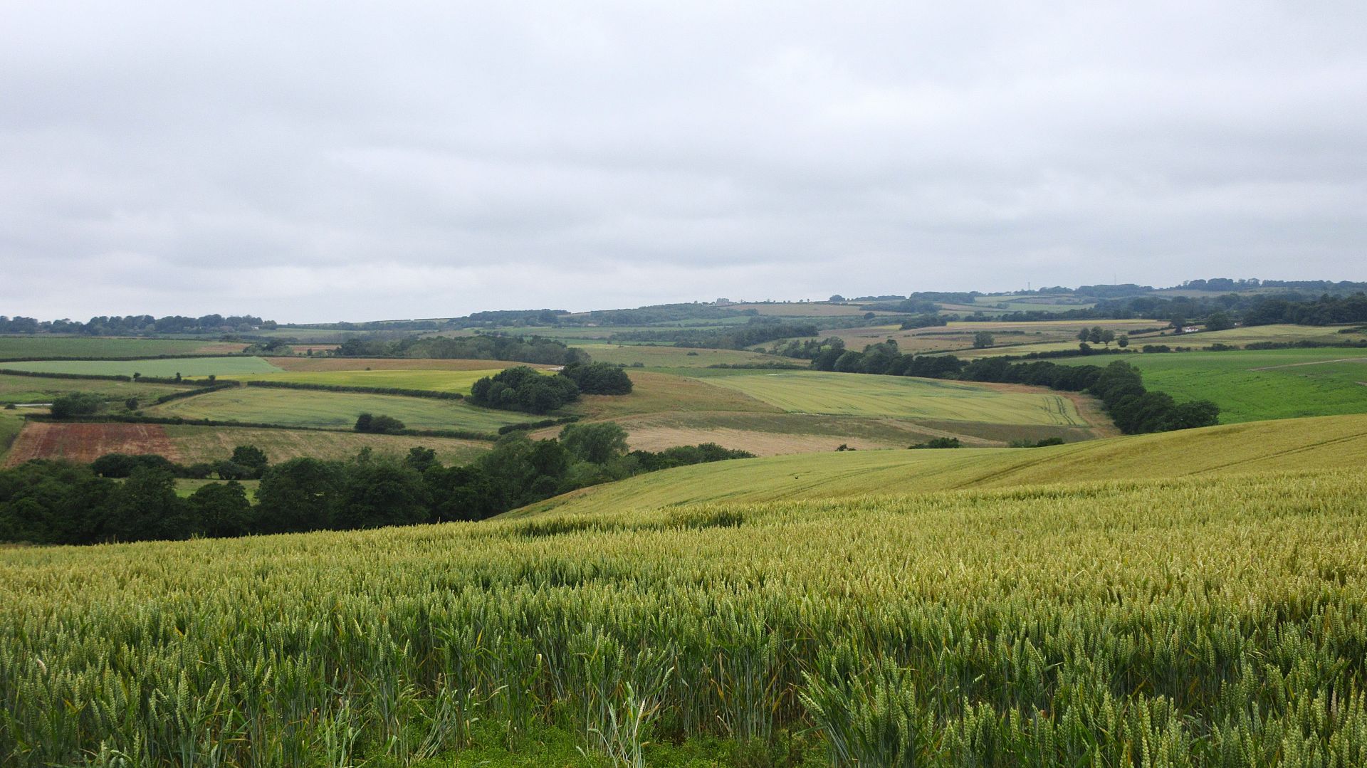A Wolds view